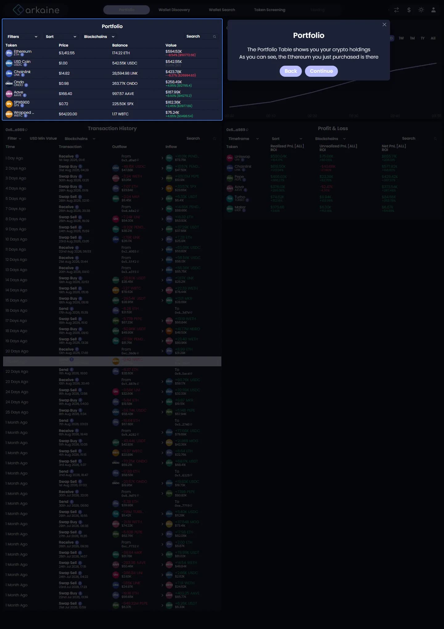 DashPro screenshot 7
